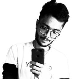 Developer