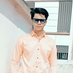 Developer